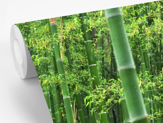 Papier peint - Papiers Papier peint photo - Forêt de bambous - Largeur 390 cm x Hauteur 260 cm