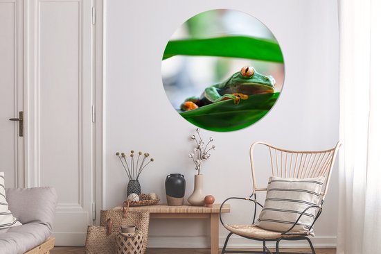 WallCircle - Muurstickers - Behangcirkel - Kikkers in de natuur van Costa Rica - ⌀ 120 cm - Muurcirkel - Zelfklevend - Ronde Behangsticker XXL