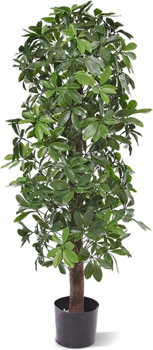 maxifleur Kunstplanten Schefflera kolom kunstboom 120cm - UV bestendig Groen