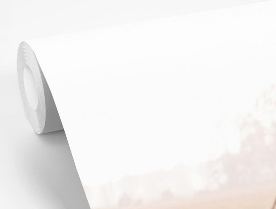 Papier peint - Papier peint Papier peint photo Cerf - Bois - Herbe - Largeur 420 cm x hauteur 280 cm