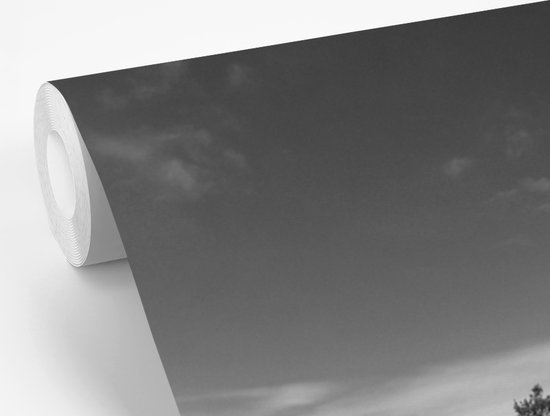 Papier Peint - Papier Peint Papier peint photo Planche de surf sur la plage de Boracay - noir et blanc - largeur 300 cm x hauteur 300 cm