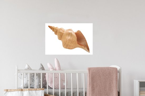 Stickers muraux - Film autocollant - Coquillage - Beige - Wit - 60x40 cm - Film adhésif - Stickers muraux Chambre d'enfant - Papier peint autocollant - Papier peint autocollant - Film autocollant