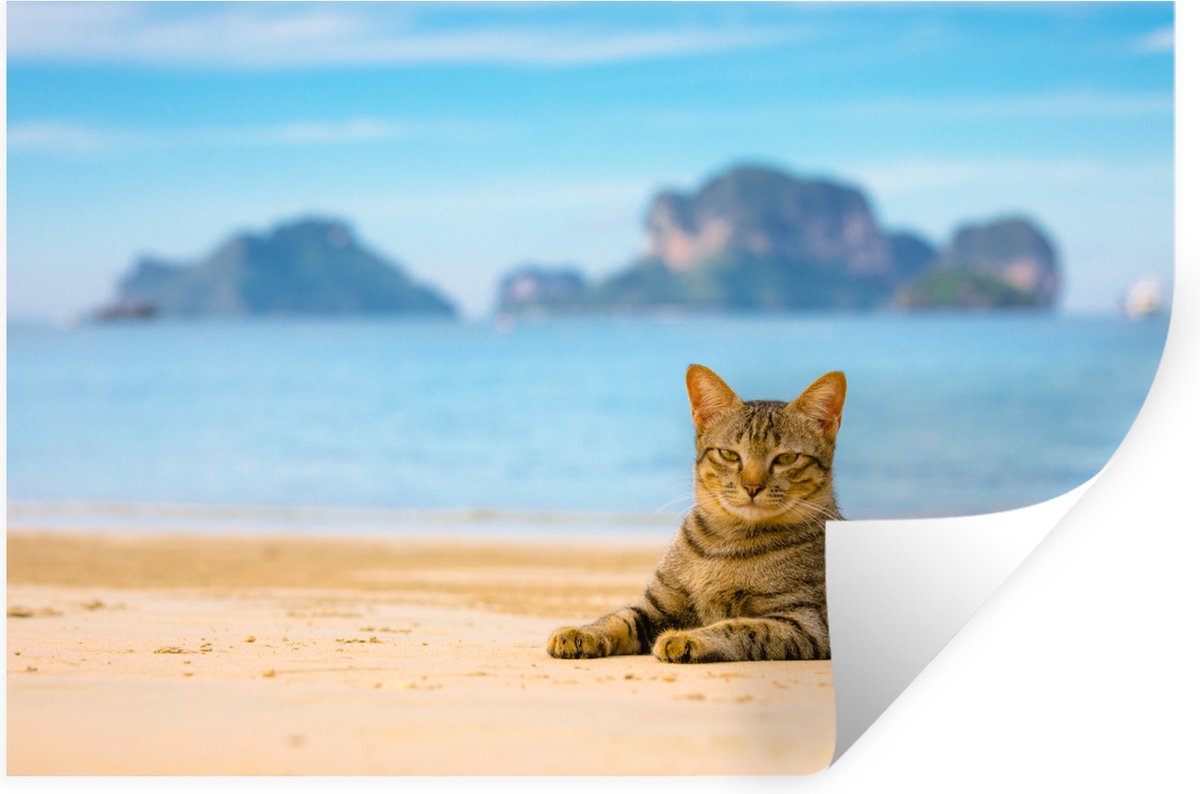 Muurstickers - Sticker Folie - Kat op het strand - 120x80 cm - Plakfolie - Muurstickers Ki
