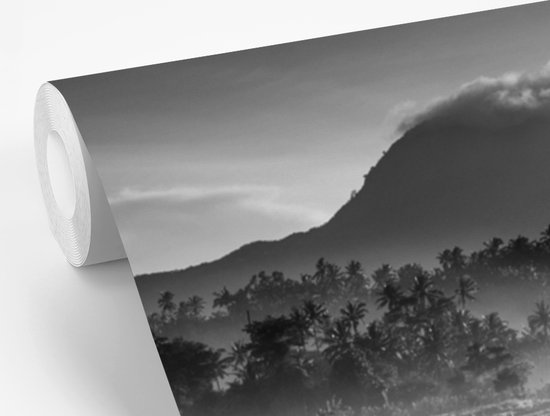 Papier peint Papier peint photo en vinyle - Rizières de Tirtagangga à Bali en Indonésie - noir et blanc largeur 220 cm x hauteur 220 cm - Tirage photo sur papier peint (disponible en 7 tailles)