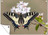 Tuinposter - Tuindoek - Tuinposters buiten - Koninginnepage vlinder met rode accenten - 120x90 cm - Tuin
