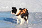 Rukka Pets -  Zwemvest voor honden - Veilig op de boot - Lichtgewicht Reddingsvest - Verkrijgbaar in XS, S, M, L, XL - Zwemvest - M