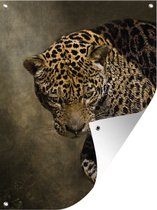 Tuin decoratie Jaguar - Portret - Zon - 30x40 cm - Tuindoek - Buitenposter