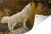 Tuindecoratie Wolf - Toronto - Wit - 60x40 cm - Tuinposter - Tuindoek - Buitenposter