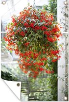 Tuinposter - Tuindoek - Tuinposters buiten - Hangplant met rode bloemen - 80x120 cm - Tuin