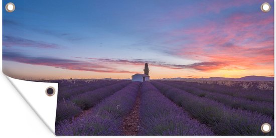 Tuinposter Frankrijk - Lavendel - Lucht - 80x40 cm - Wanddecoratie Buiten - Tuinposter - Tuindoek - Schuttingposter - Tuinschilderij
