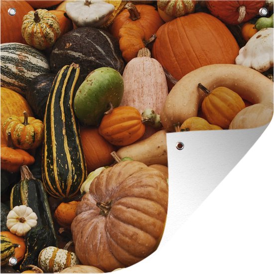Tuinposter 100x100 cm - Tuindecoratie Pompoen - Herfst - Oranje - Poster voor in de tuin - Buiten decoratie - Schutting tuinschilderij - Tuindoek muurdecoratie - Wanddecoratie balkondoek