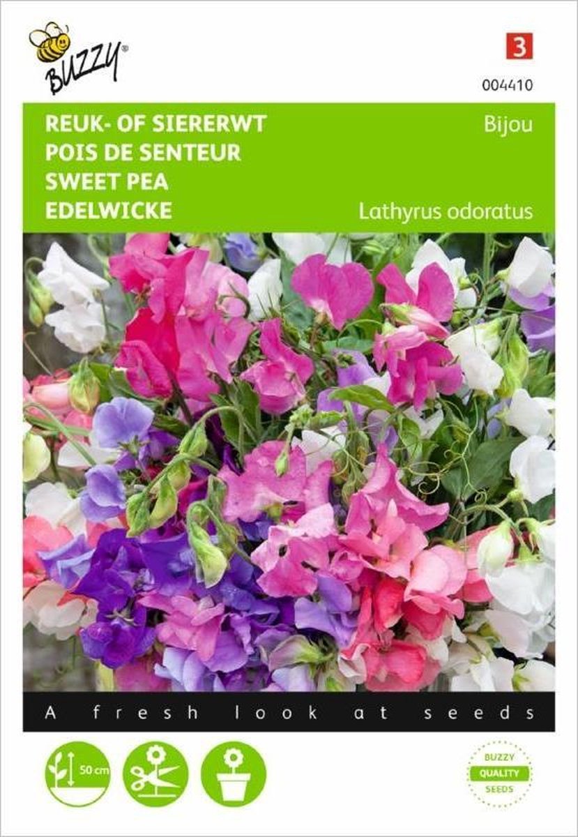 Reukerwt Bijou - Lathyrus odoratus