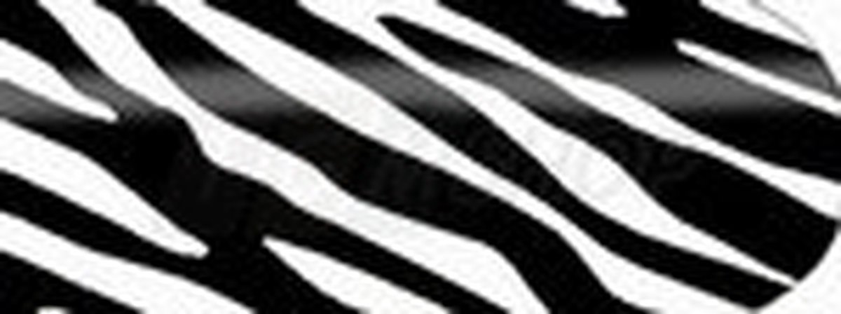 Blixz Slide Zany Zebra - FI 0067