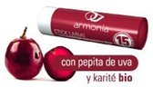 Armonia Stick Labial Pepita De Uva Y Karite Np Bio F 15