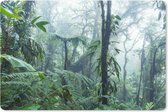 Muismat - Mousepad - Mistig regenwoud in Costa Rica - 27x18 cm