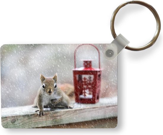 Porte-clés Écureuils en hiver - Un écureuil à la recherche de noix en hiver porte-clés en plastique - porte-clés rectangulaire avec photo