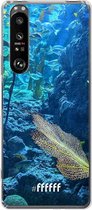 6F hoesje - geschikt voor Sony Xperia 1 III -  Transparant TPU Case - Coral Reef #ffffff