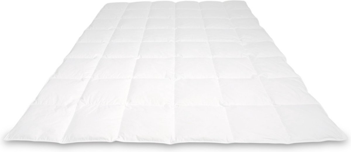 Cassenz Rembrandt Donzen Dekbed - 100 % Mazurische ganzendons - Zomer - 200 x 220 cm