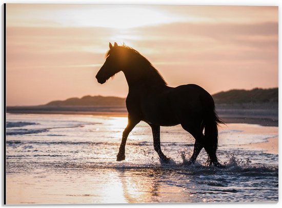Dibond - Silhouet van Paard Sjokkend over Strand - 40x30cm Foto op Aluminium (Met Ophangsysteem)