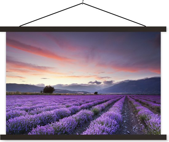 Affiche scolaire Sunset over lavande lattes plates noir 60x40 cm - Tirage photo sur affiche textielposter (décoration murale salon / chambre)