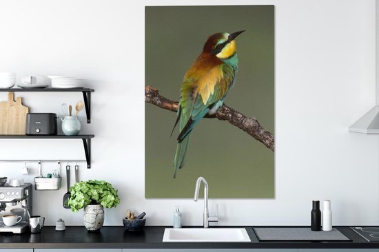Guêpier d'Europe (Merops apiaster) se trouve sur une branche Sardaigne Italie Toile 80x120 cm - Tirage photo sur toile (Décoration murale salon / chambre)
