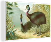 Illustration d'une toile casuarius couchée 180x120 cm - Tirage photo sur Toile (Décoration murale salon / chambre) / Animaux sauvages Peintures sur toile XXL / Groot format!
