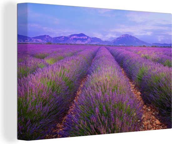 Canvas Schilderij Rijen van lavendel voor bergen - 30x20 cm - Wanddecoratie