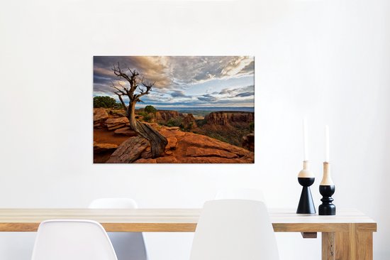 Arbre courbe en toile Colorado National Monument 2cm 90x60 cm - Tirage photo sur toile (Décoration murale salon / chambre)