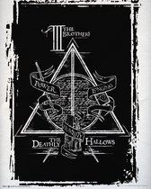 Harry Potter Deathly Hallows Poster 40x50cm