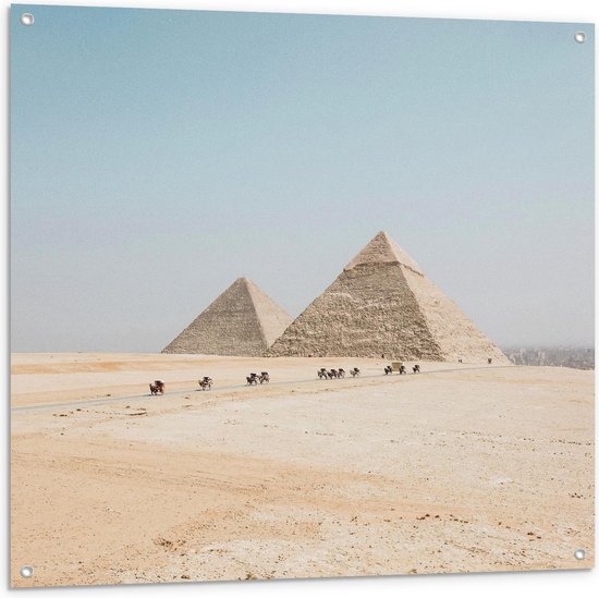 Tuinposter – Piramides met Kamelen in Egypte - 100x100cm Foto op Tuinposter  (wanddecoratie voor buiten en binnen)