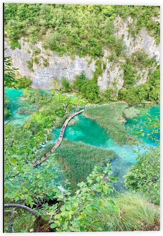 Dibond - Nationaal park Plitvicemeren - Kroatie - 40x60cm Foto op Aluminium (Met Ophangsysteem)
