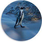 Forex Wandcirkel - Pinguïn in de Sneeuw   - 80x80cm Foto op Wandcirkel (met ophangsysteem)