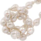 Zoetwaterparels (12 - 16 x 9 mm) White (30 Stuks)