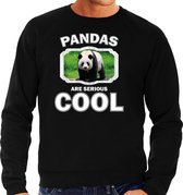 Dieren pandaberen sweater zwart heren - pandas are serious cool trui - cadeau sweater grote panda/ pandaberen liefhebber S