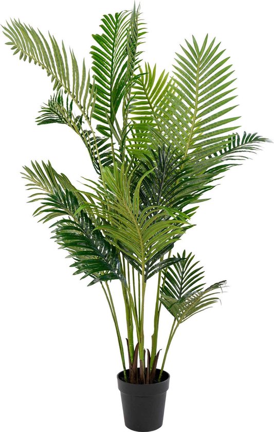 House Nordic Kunstplant Areca Palm