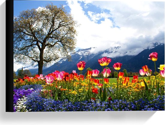 Toile - Champ de tulipes magiques au grand arbre et aux Montagnes - 40x30cm Photo sur toile (Décoration murale sur toile)