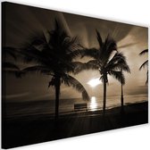 Schilderij Palmbomen en zonnestralen, 2 maten, sepia, Premium print