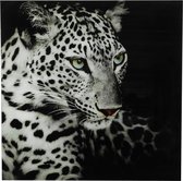 Schilderij luipaard Wild life L - zwart/wit