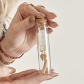 Oorbellen in glazen buisje | Goud - Girls