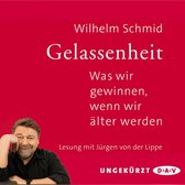 Boek "Gelassenheit. Was wir gewinnen, wenn wir älter werden" van Wilhelm Schmid.