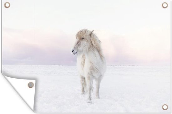 Tuinposter 120x80 cm - Tuindecoratie Wit IJslander paard in de sneeuw - Poster voor in de tuin - Buiten decoratie - Schutting tuinschilderij - Tuindoek muurdecoratie - Wanddecoratie balkondoek