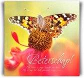 Kaart met envelop - beterschap vlinder - Bijbel - Christelijk - Majestic Ally - 6 stuks