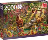 Jumbo Premium Collection Puzzel Magische Bos bij Zonsondergang - Legpuzzel - 2000 stukjes