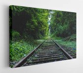 Onlinecanvas - Schilderij - Abandoned Forest Industry Nature Art Horizontal Horizontal - Multicolor - 30 X 40 Cm