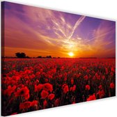 Schilderij Klaprozen veld, 2 maten, rood/paars, Premium print