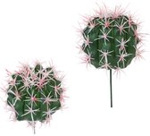PTMD Cactus plant ball mini