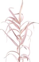 PTMD Leaves Plant Eucalyptus Kunsttak - 47 x 36 x 98 cm - Velvet - Roze
