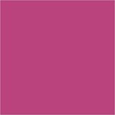 Houten kralen. roze. d 12 mm. gatgrootte 3 mm. 22 gr/ 1 doos. 40 stuk