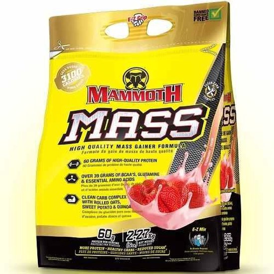 Interactive Nutrition Mammoth Mass 2500 - Aardbei - Weight Gainer / Mass Gainer - 2270 gram (7 shakes)