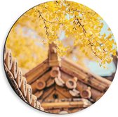 Dibond Wandcirkel - Groene Boom bij Houten Huisje - 40x40cm Foto op Aluminium Wandcirkel (met ophangsysteem)